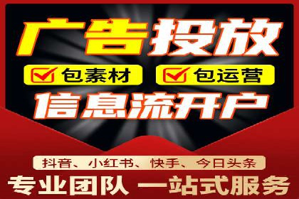 竞价广告赚钱秘籍：百度实战案例